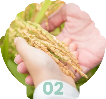 最高の状態で届ける