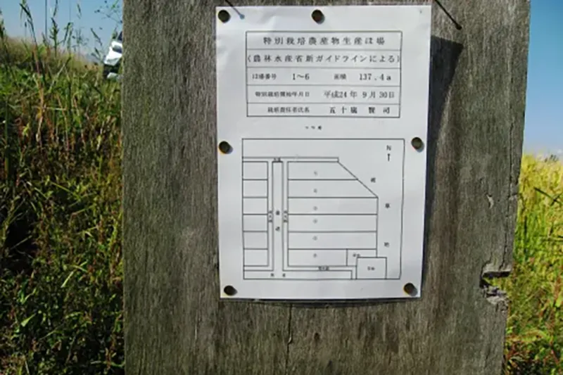 7月　特別栽培米の山形県認証検査